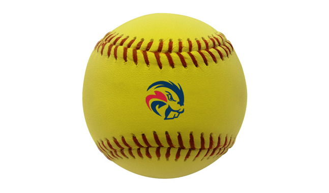 ARC Softball Announces 2018 Recruiting Class