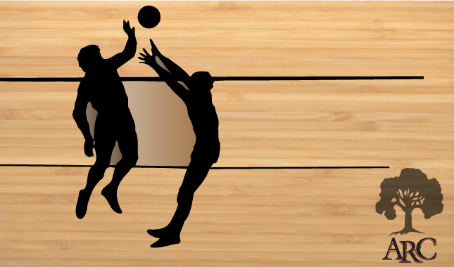 Volleyball state rankings