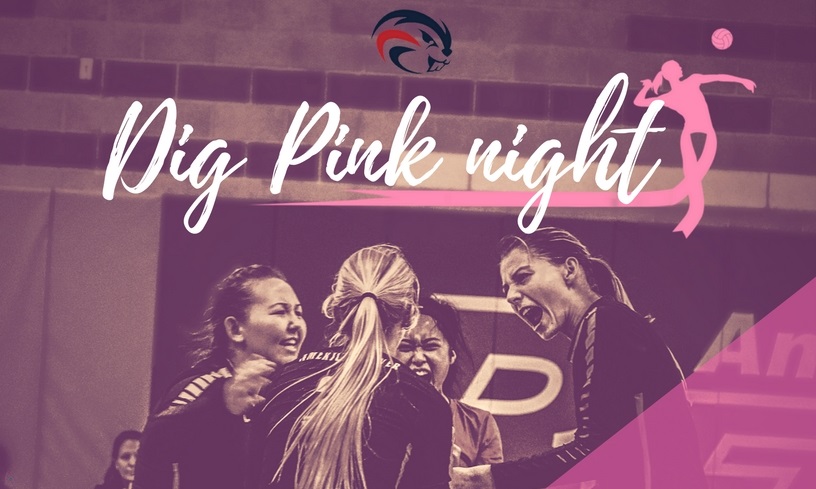 Dig Pink Night Flyer